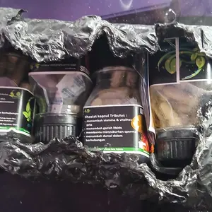 ASHYFA HERBAL KAPSUL EKTRAK TRIBULUS ORIGINAL 100% HALAL MUI