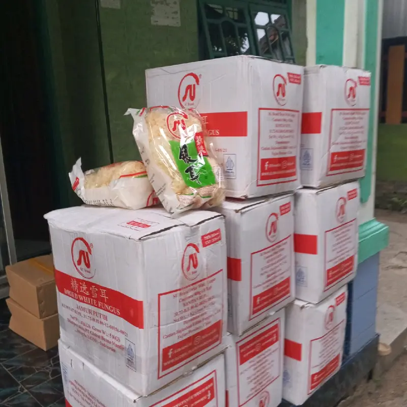 jamur salju 50gr kondisi baru dan kering  Sehat Food 2