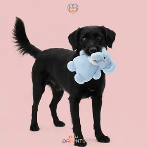 APETMENT - Sooting Plush Dog Toy / Mainan Anabul Anjing Squeaky Dog Toy Gigitan Bunyi / Dog Squeaky Toy Boneka Anjing Kucing
