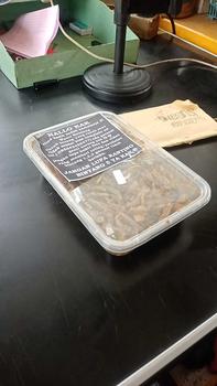Product Review of belalang utis/belang kecil dpet 1box from a**7 0
