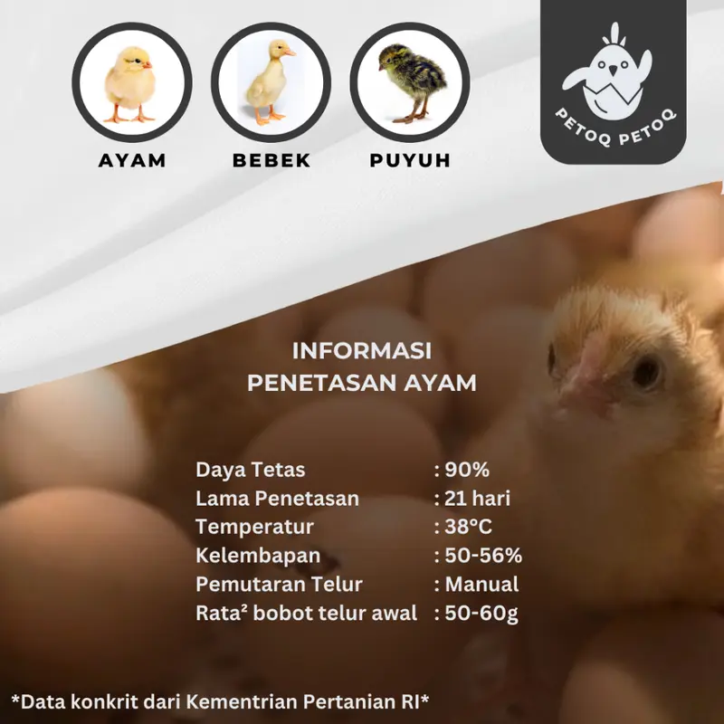 Mesin Penetas Telur Semi Otomatis Digital Kapasitas 16 Telur Petoq Petoq PTQ-16 Inkubator Telur Egg Incubator 4