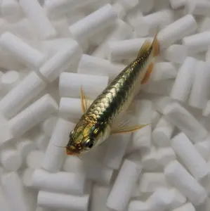 BUSA FILTER REG SUPER 100 Gram - Saringan Kapas Aquarium GTJ Dakron