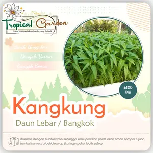 Benih Biji Kangkung Bangkok Daun Lebar COD