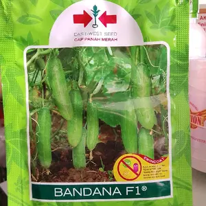 benih timun bandana 800 biji