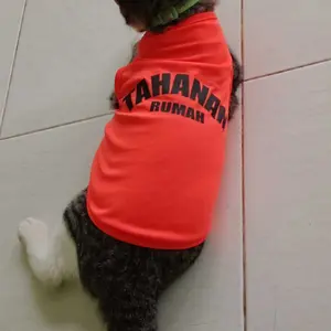 Baju Kucing Lucu “TAHANAN RUMAH”  | Outfit Kucing Anti Galau, Adem, & Stylish – Banyak Warna Pilihan!