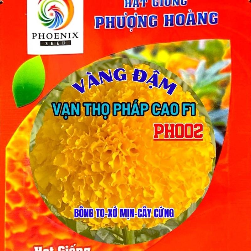 Hạt Giống Hoa Vạn Thọ Pháp Cao Vàng Đậm PH002