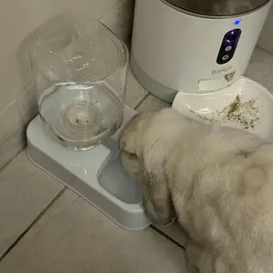 Pet Feeder Otomatis Dispenser Tempat Makan & Minum Kucing Anjing Auto Feeder Ekstra Besar