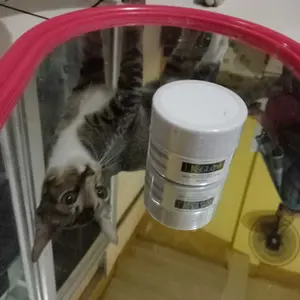 LKGLOW Cream Detox 10gr | Pijat Krim Wajah Share in Jar BPOM | Membantu Proses Detoksifikasi Kulit | Membersihkan Pori-Pori, Mengangkat Kotoran & Racun | Skincare untuk Merawat, Mencerahkan, Menyegarkan Kulit Wajah, Anti Kusam & Bikin Glowing Sehat