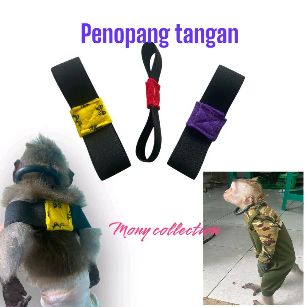 Alat Penopang Tangan untuk Monyet Berjalan 2 Kaki