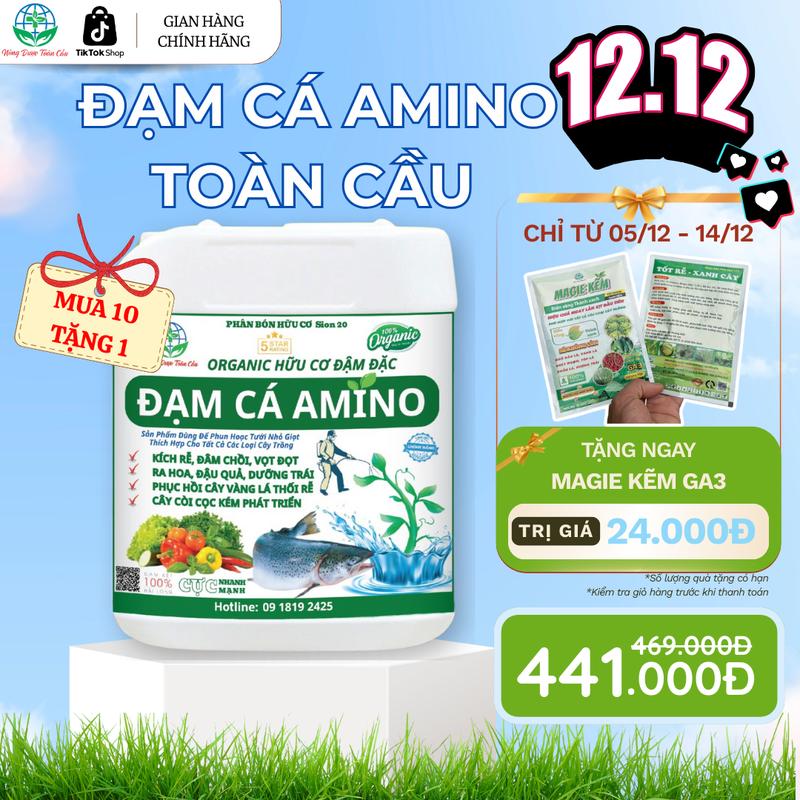  Đạm Cá Hữu Cơ Amino Giúp Cây Bật Mầm Xanh Lá Bung Cành Đẻ Nhánh Mạnh Nuôi Trái  Can 5 Lít  cô đặc bảo hành của nhà sản xuất ngoài trời meocham cay phân bón phân  bón thuốc phân  bón kích tinh npk kíchrễ p hâ canxi 