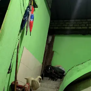 GX160 PULI STATER MANGKOK STATER MESIN HONDA 5.5HP PULI ENGKOL