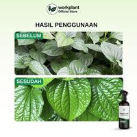 Gambar Workplant - Pengkilap Daun Organik Magic Leaf Tanaman Hias Daun Mengkilap & Bebas Hama Siap Pakai Aman Untuk Tanaman - Magic Leaf Only dari workplant official Kota Surabaya 5 Tokopedia