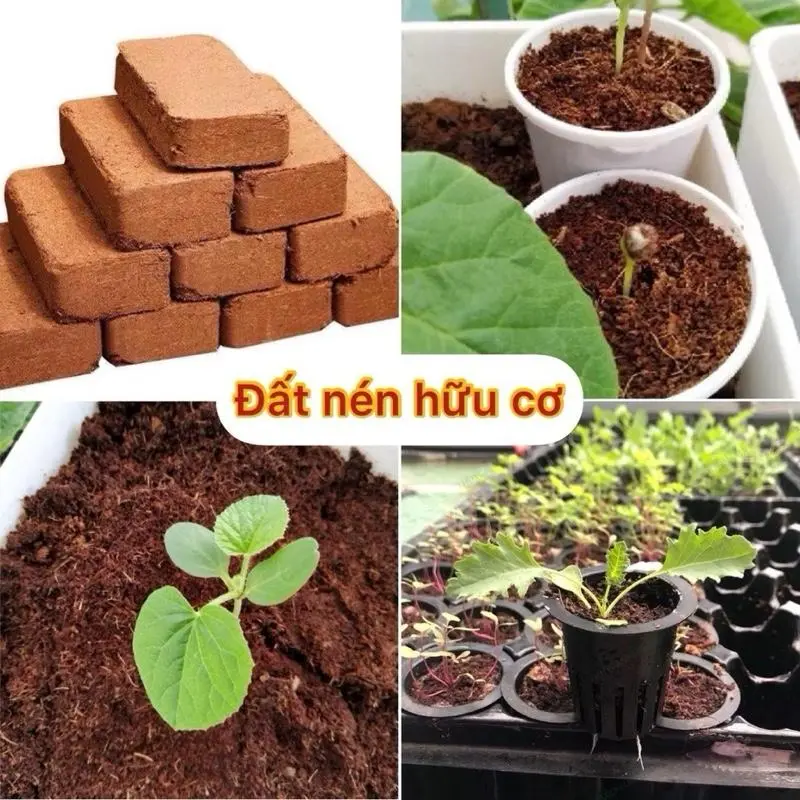 ￼Viên Đất Nén Xơ Dừa Tiện Ích diệt khuẩn kháng sâu bệnh bổ sung vi sinh hữu cơ cho cây trồng,hoa,rau