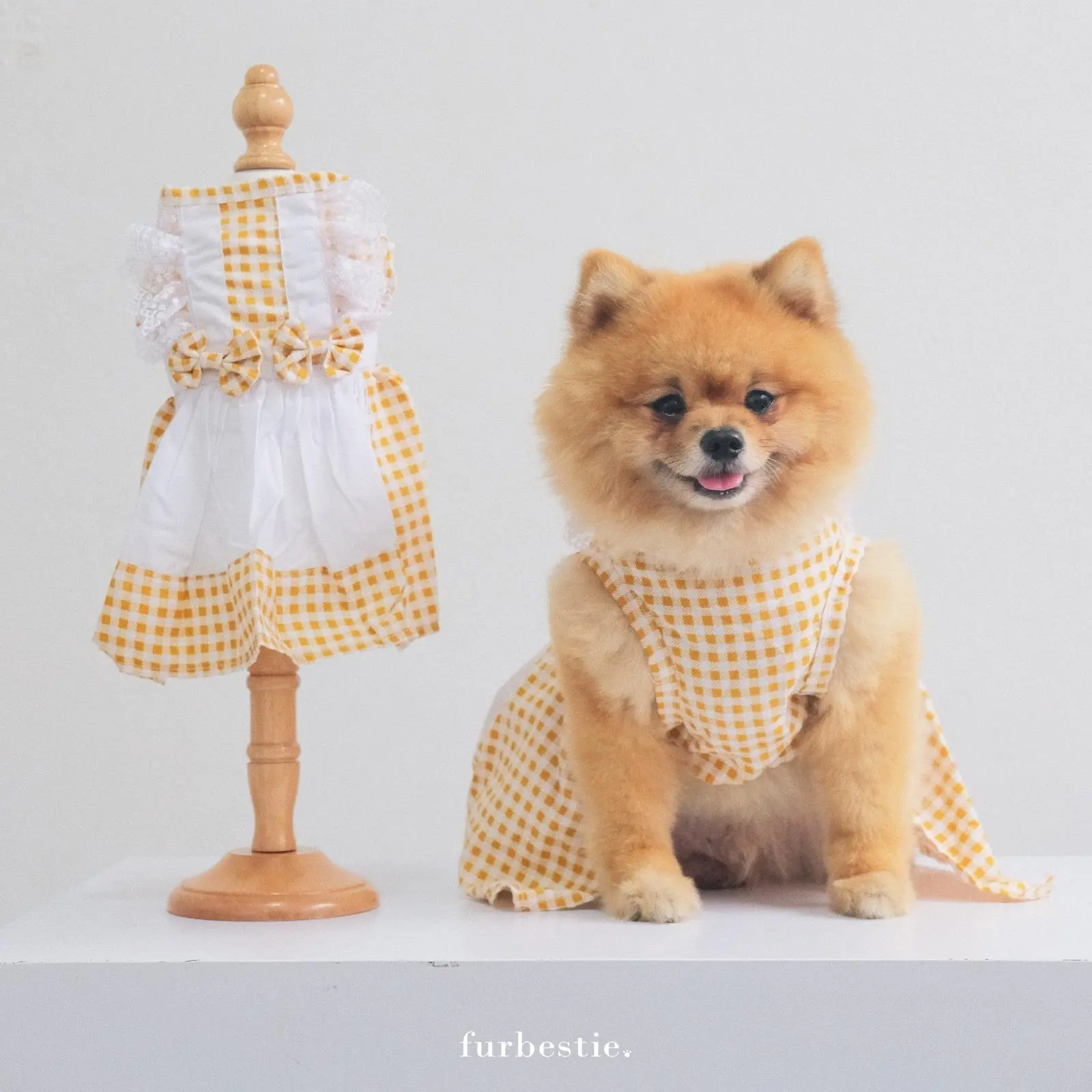 Pomapoo x Furbestie - Baju Kucing dan Baju Anjing Alice Dress