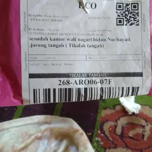 Jual Rugi Anting Desi Lapisan E.M.A.S Muda Asli Gratis Dompet Dan Surat Perhiasan Dari Toko