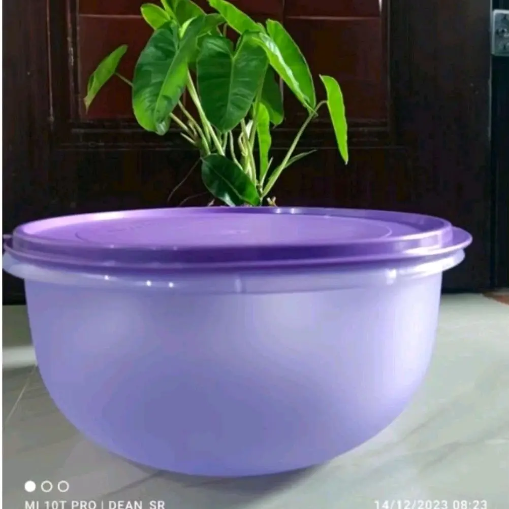 1pcs baskom MOORLIFE tutup kedap / BAHAN TEBAL / BERGARANSI