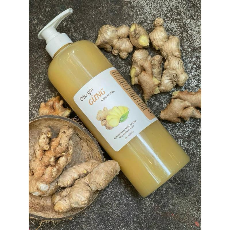 Dầu gội thảo dược dưỡng sinh Gừng tươi hỗ trợ giảm rụng hỗ trợ kiềm dầu hỗ trợ mọc tóc nhanh hỗ trợ ấm da đầu - Chai 1 lít tiết kiệm dành cho spa