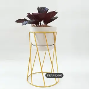 Standing Pot  D 20;cm Besi Kaki Garis Miring | bentuk api pon Tanaman Cantik Minimalis
