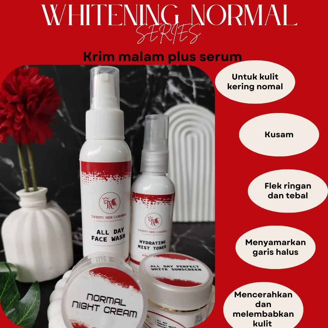 TNC Twenty Nine CornerS Paket Whitening Normal isi 4 macam Ampuh untuk kulit susah putih FREE POUCH