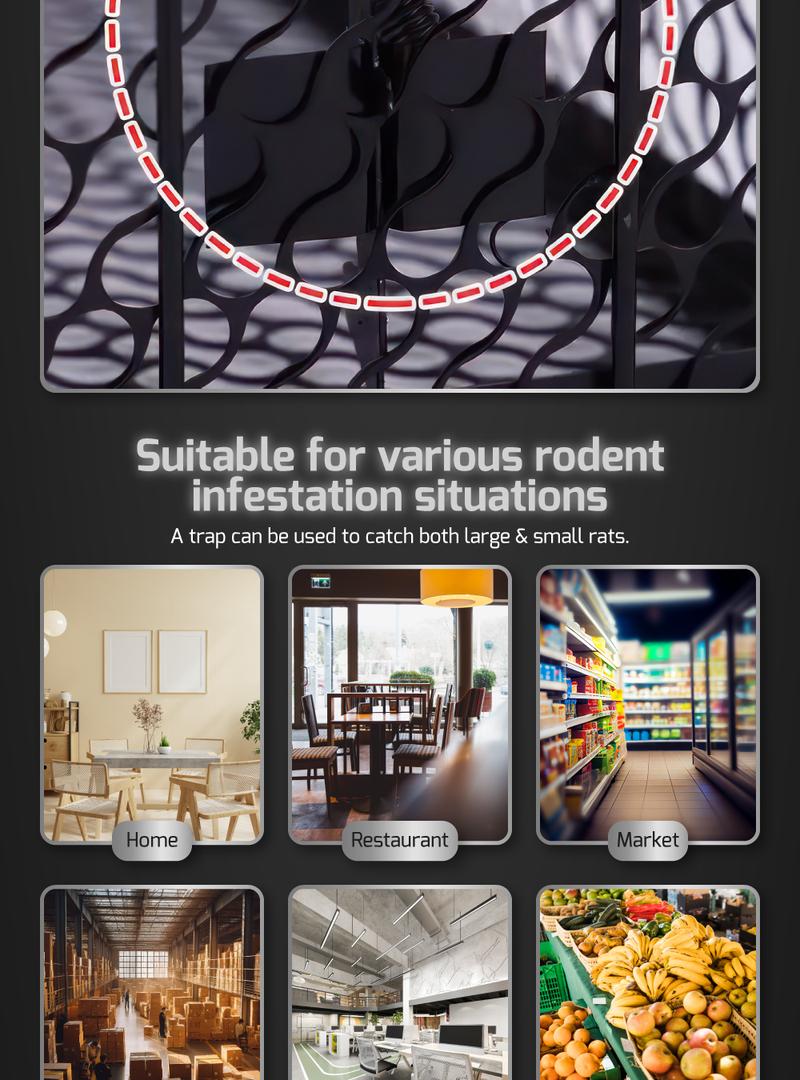 Product Introduction of HOUZE - Mouse and Rat Trap Cage - Big 9