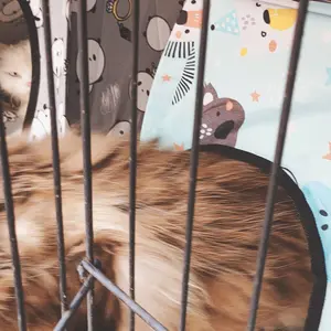 KITTYDOM Tenda Kucing Lipat Fullset Alas Bantal Kasur Tempa Tidur