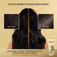Gambar Pantene Shampoo Anti Ketombe 400ml Free Pantene Miracles Gold Keratin Conditioner 250ml dari P&G Store Kota Administrasi Jakarta Timur 5 Tokopedia