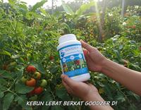 Gambar Pupuk Daun Nutrisi Mikro Makro ZPT Goodzer D NPK 45-10-10 Hijau Tanaman dari PUROTANI.ID Kab. Purworejo 1 Tokopedia