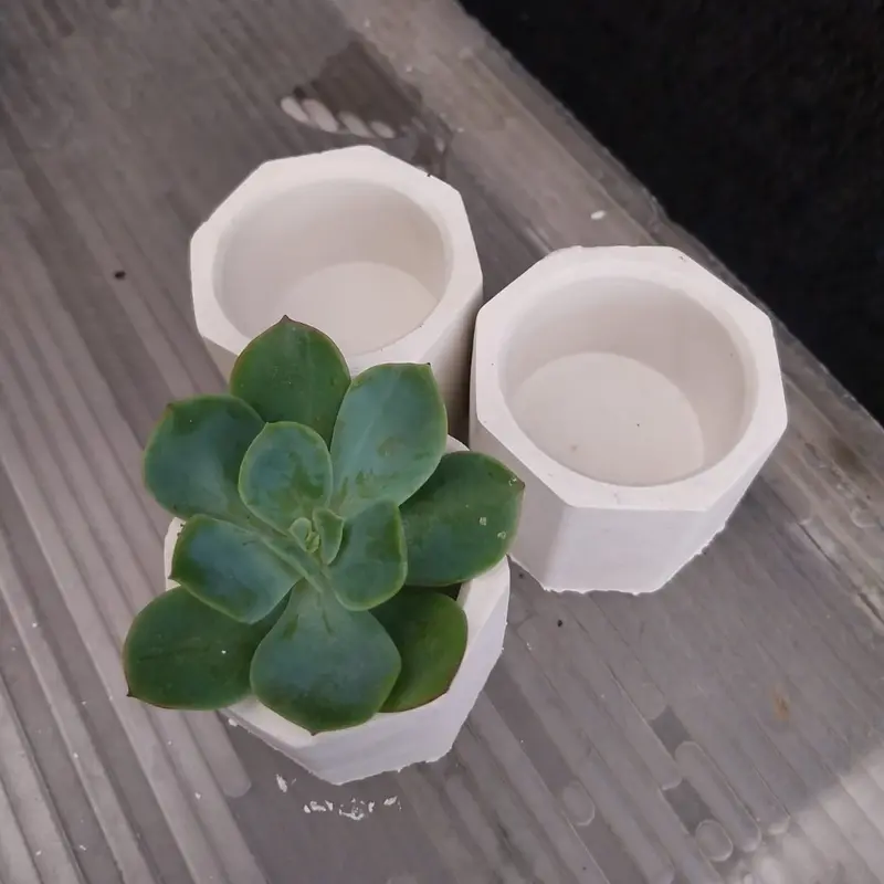 Pot Semen Putih Aesthetic Minimalis Murah 1