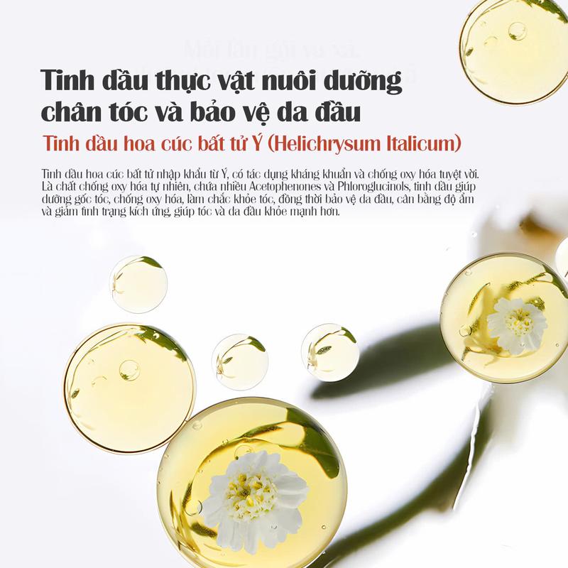 [1 CHAI] Dầu Gội Xả 2in1 Lilystar Giúp Làm Sạch, Nuôi Dưỡng Tóc, Lưu Hương Thơm Lâu Và Không Làm Bết Tóc (200ml) 5