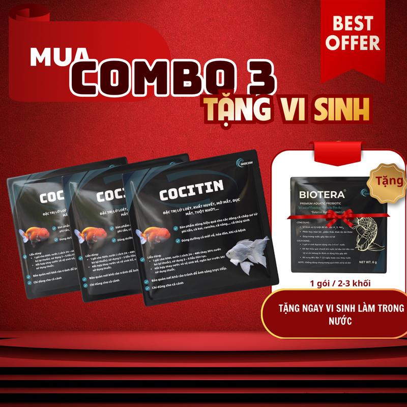 XỬ LÝ DỨT ĐIỂM XUẤT HUYẾT ĐỐM ĐỎ , LO LOET XÙ VẨY MỜ MẮT , ĐỤC MẮT ... TRÊN CÁ…