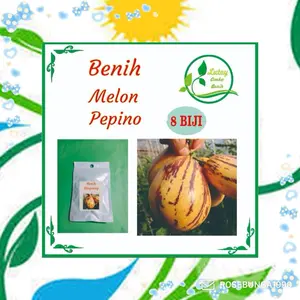 BENIH MELON PEPINO ISI 8 BIJI -BENIH MUDAH TUMBUH