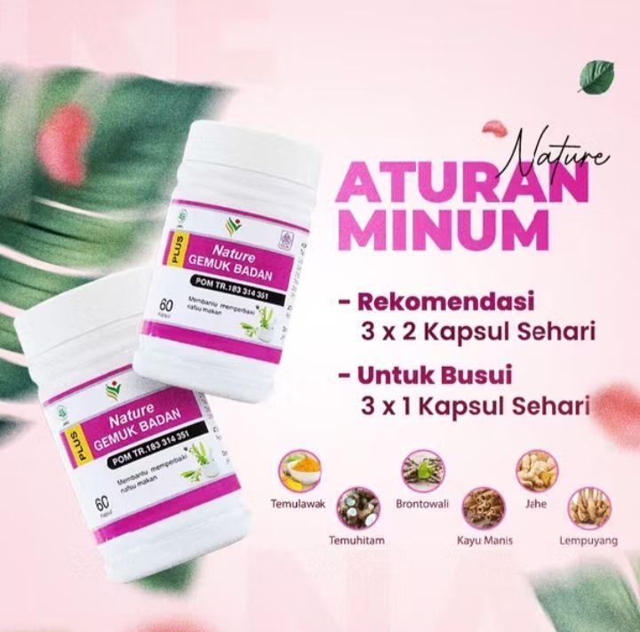 Vitamin Obat Gemuk Nature Herbal BPOM 60 Kapsul Suplemen Penggemuk Badan Permanen Penambah Nafsu Makan Pria Wanita Dewasa