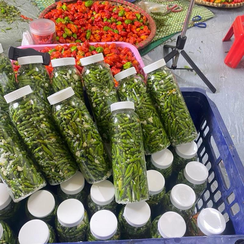 Ớt Xiêm Xanh Xóc Muối Thơm Cay Giòn - Hương Vị Thơm Ngon Giòn Cay