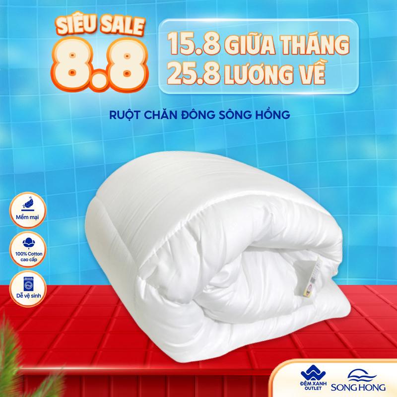 Ruột Chăn Đông Sông Hồng phân phối chính hãng tại Đệm Xanh