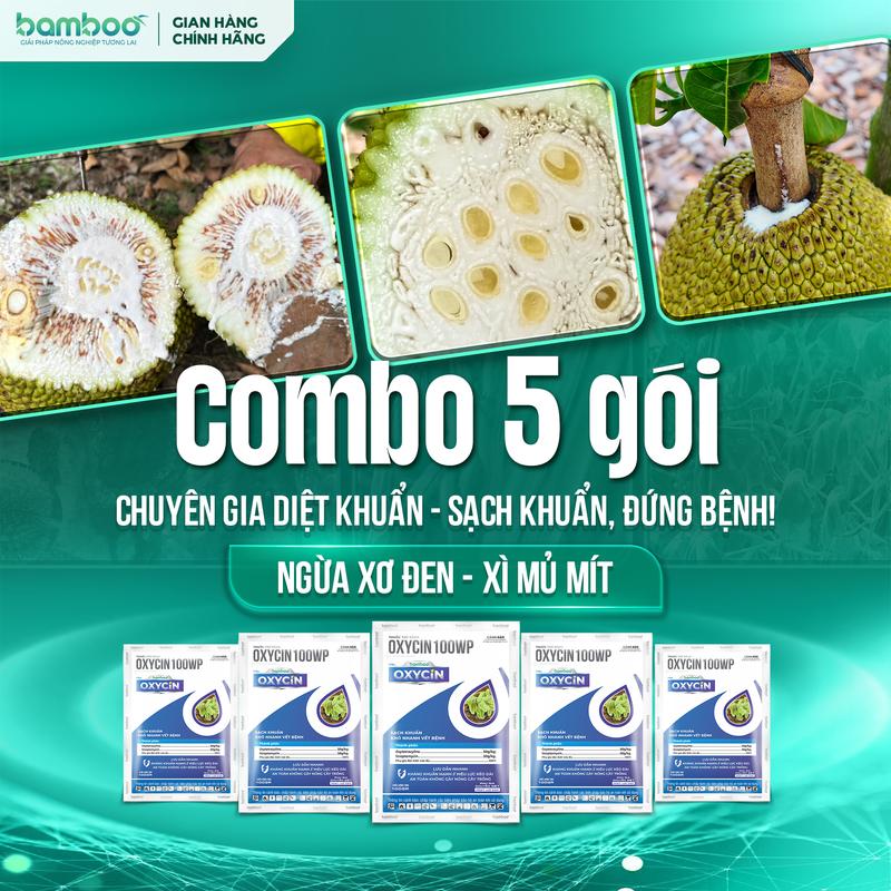  5 GóI OXYCIN - SẠCH KHUẨN - Hỗ trợ quản lý SƠ ĐEN - NỨT THÂN XÌ MỦ trên MÍT 
