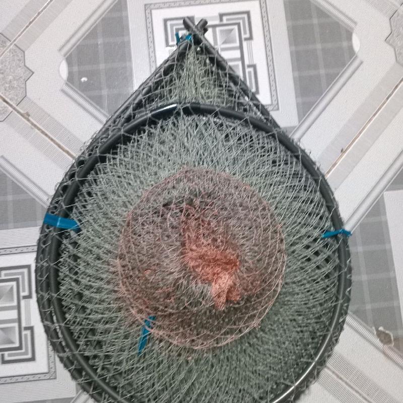 Combo 10 cái lờ rộng 30 dài 52cm hom chỉ sắn  vành nhựa dẻo 8l lưới cào thái  2 phân rưỡi  dành đặc được các loại cá lóc cá trê rô phi không  kèm cây trống