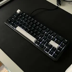 VortexSeries MONO SERIES V2 Wired Gasket Mount MONO 65 V2 | MONO 75 V2 | MONO 80 | MONO 87 V2 | MONO 100 V2 / TKL Layout / Full Size Layout | Hotswappable Universal 3 - 5 Pin Mechanical Keyboard