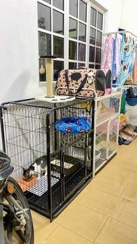 Product Review of ❤️READY STOCK❤️Cat Cage High End Solid Steel Pipe Steel Sangkar Anak Kucing with Door Ladder Wheels Large Free Space from S**e 0