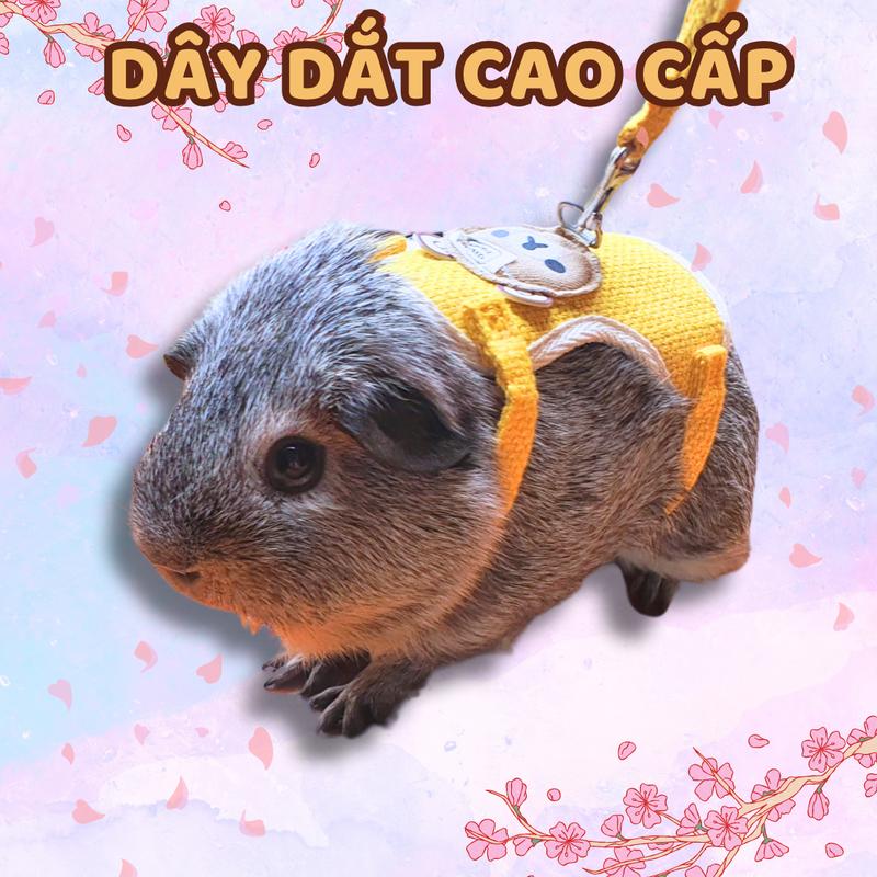 Dây dắt đi dạo cho Bọ Ú Chuột lang Thỏ Cảnh Chó Mèo dây dắt cao cấp có thể điều chỉnh