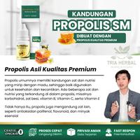 Gambar Herbal Sinusitis, Radang Sinus, Pilek Menahun, Infeksi Sinus, Polip Hidung, Hidung Bau, Benjolan Didalam Hidung, Penghilang Sinusitis Anak dan Dewasa - PROPOLIS SM Perawatan Hidung dari Tria Herbal Store Kota Administrasi Jakarta Barat 3 Tokopedia