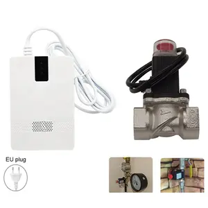 Plug in Flammable Gas Detector with Electronic Solenoid Valve Control For Natural Gas Leak Sensor Home Security Protection Alarm