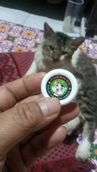 Product Review of Salep Krim Fungiluk Penghilang Jamur Scabies Kulit Kucing Anjing Anti Gatal Hewan Peliharaan Aerizoo from a**k i**9 0