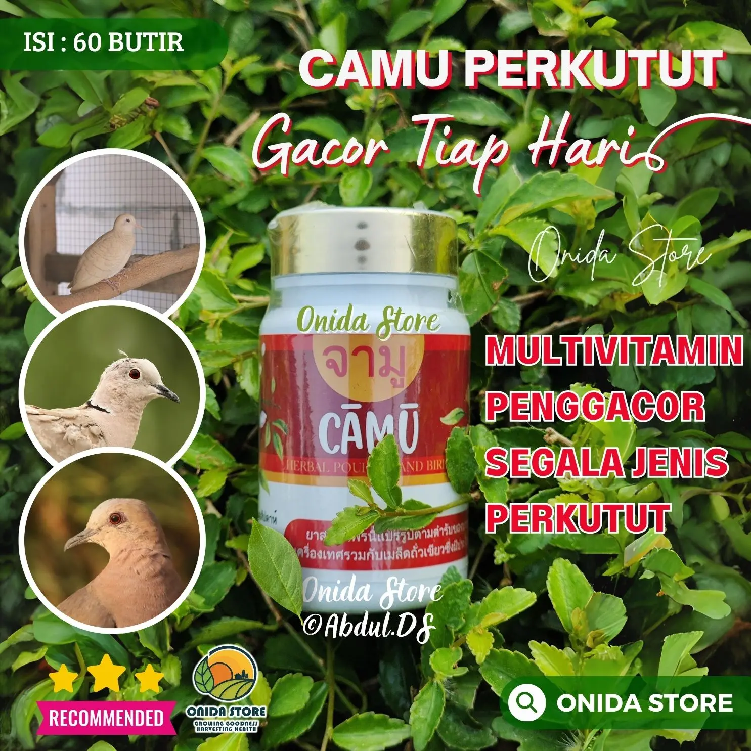 CAMU - Multivitamin Untuk Semua Jenis Burung Perkutut Membuat Burung Jadi Rajin Manggung Tiap Hari