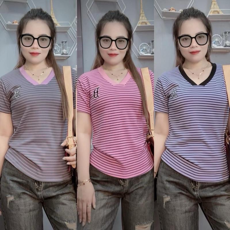 B113_ Áo thun nữ fom vừa cổ tim sọc B thiêu