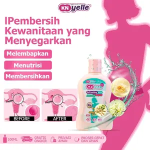 (BISA COD)100g Feminine Wash Mengurangi gatal menghilangkan bau discharge wanita memulihkan keseimbangan flora&pH Cocok untuk ibu hamil