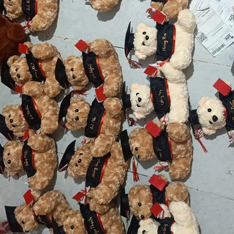 Gấu bông gấu tốt nghiệp gấu cử nhân có ghi tên thú nhồi bông gấu tốt nghiệp dễ thương cute đáng yêu 8