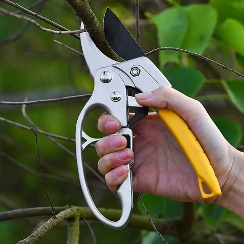 Pruning Shears Gunting Dahan Bunga Gunting pohon buah berlapis titanium dari baja tahan karat Ranting Stek Alat Potong Dahan Garden Scissors Gunting Taman