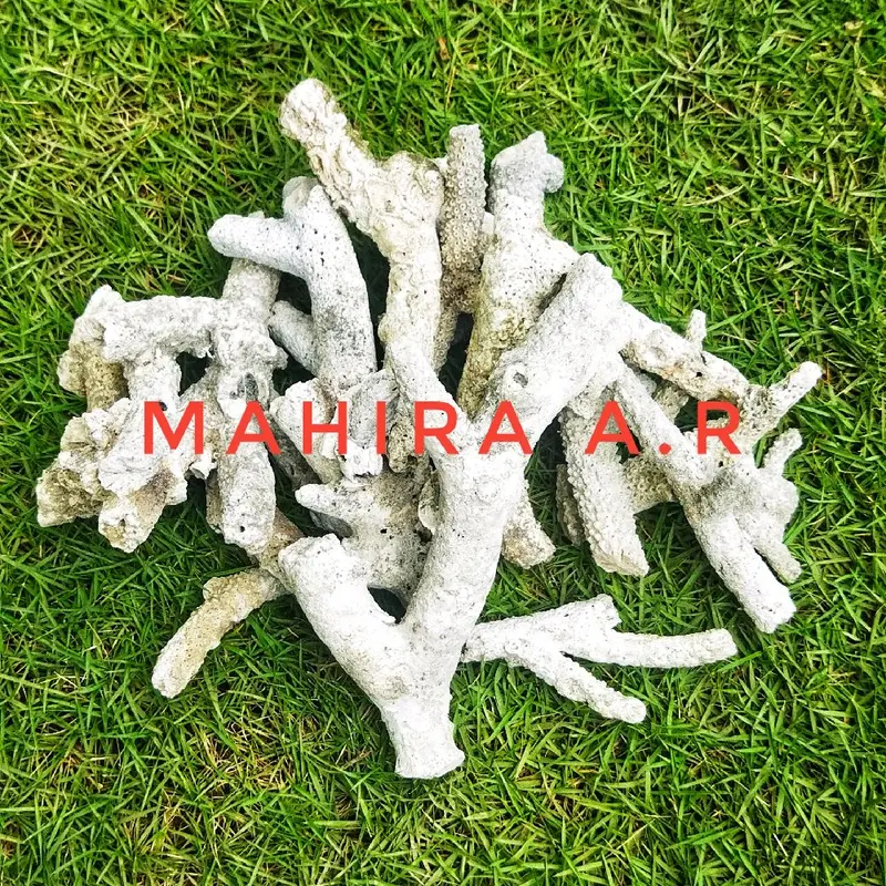 Karang Jahe 500 gram - Filter Akuarium untuk pH Netral dan Alkali 1