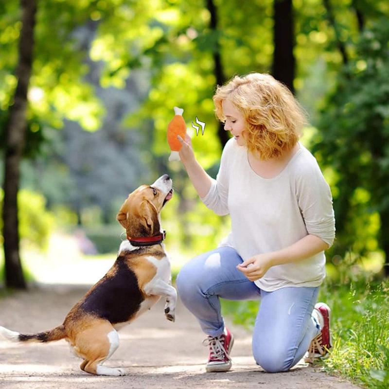Đồ Chơi Nhồi Bông Cho Thú Cưng, Chó Mèo Chơi Nhai Chân Gà Cà Rốt Kêu Cót Két Âm Thanh Giọng Hát Tương Tác, Đồ Dùng Chơi Huấn Luyện 8