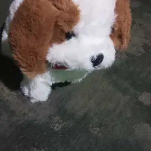 Indah listrik simulasi boneka Teddy/Labrador/rambut emas  anjing gemetar mainan simulasi listrik boneka binatang hadiah Remote Toy Doll